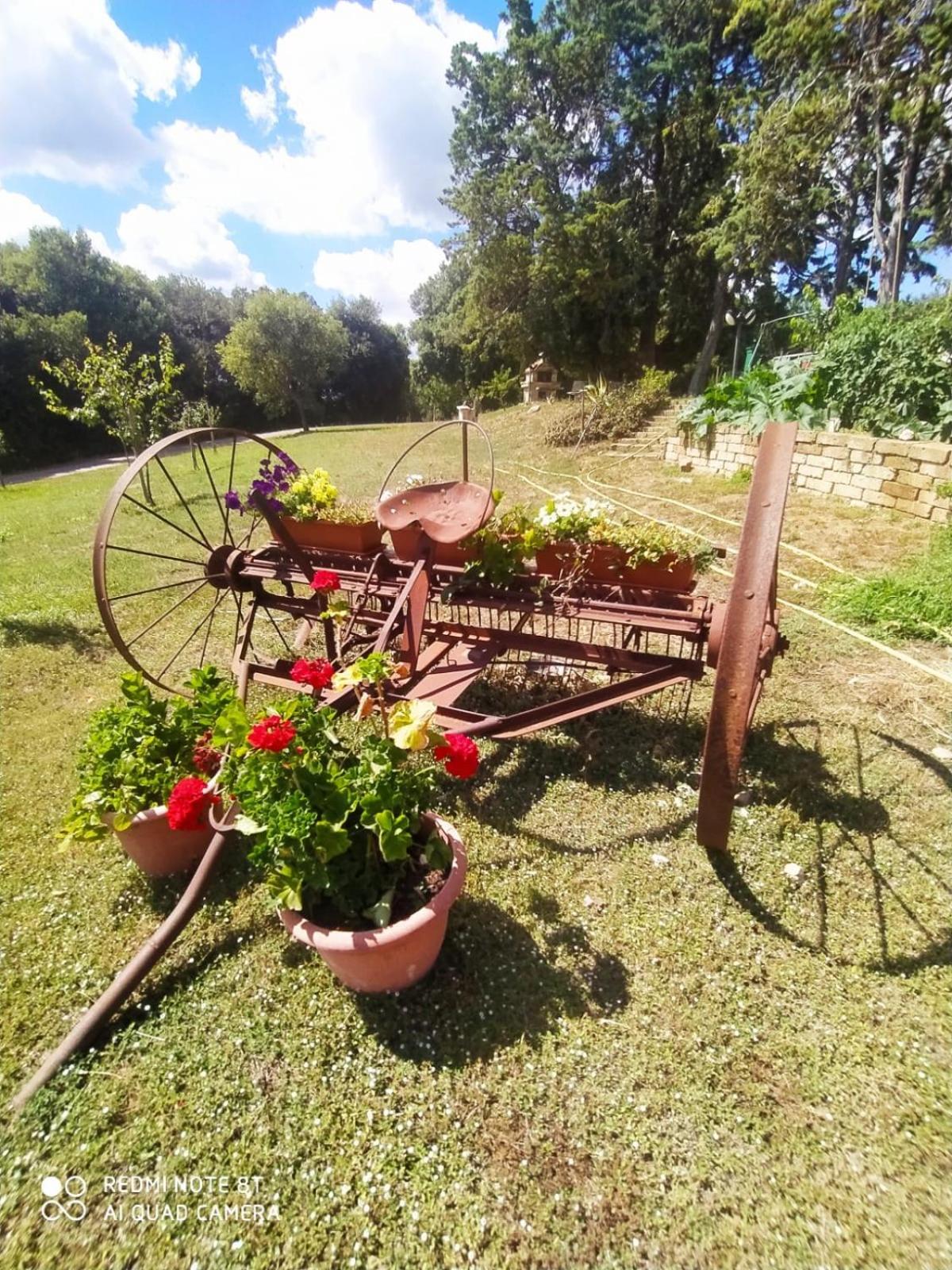Agriturismo L'Alba Роккастрада Экстерьер фото